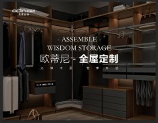  山东省全屋定制品牌加盟哪家好,山东省全屋定制品牌厂家